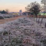 Sexta começa gelada no quinto dia seguido de marcas abaixo de zero