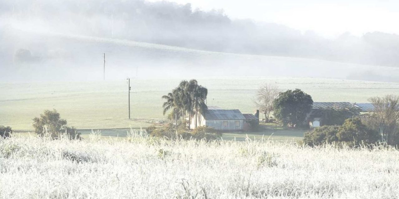 <span  vai começar com frio intenso e geada em várias cidades</span> <h2  seco, escassa cobertura de nebulosidade e vento calmo vão favorecer uma madrugada fria e com formação de geada</h2>
