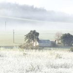 Domingo vai começar com frio intenso e geada em várias cidades