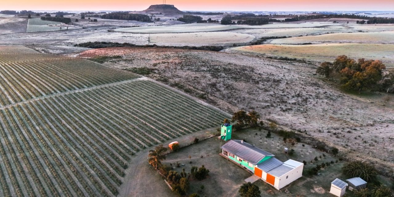 <span class="entry-title-primary">Imagens aéreas mostram cidade gaúcha que congelou a 7,3ºC negativos</span> <h2 class="entry-subtitle">Veja fotos aéras do amanhecer de hoje em Santana do Livranto com temperatura que chegou a 7,3ºC abaixo de zero </h2>