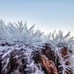 Rio Grande do Sul completa trinta dias abaixo de zero no ano