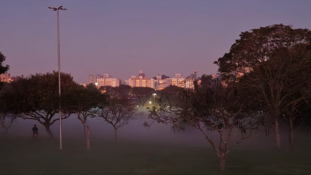 Nevoeiro raso chama a atenção no entardecer em parque de Porto Alegre