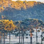 Santa Catarina começou a quinta-feira com frio de quase -7ºC
