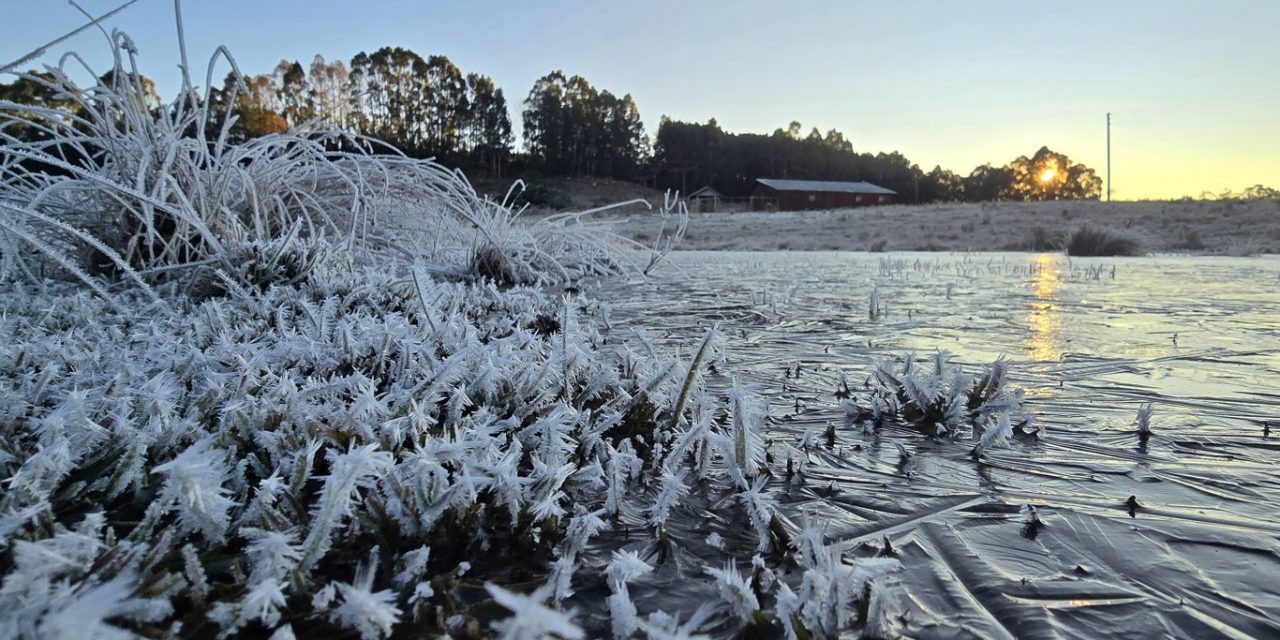 <span class="entry-title-primary">Imagens mostram como ficou a região do Sul do Brasil que registrou -10ºC</span> <h2 class="entry-subtitle">Veja fotos de como ficou o Planalto Sul de Santa Catarina hoje cedo com temperaturas que caíram a congelantes -10ºC </h2>