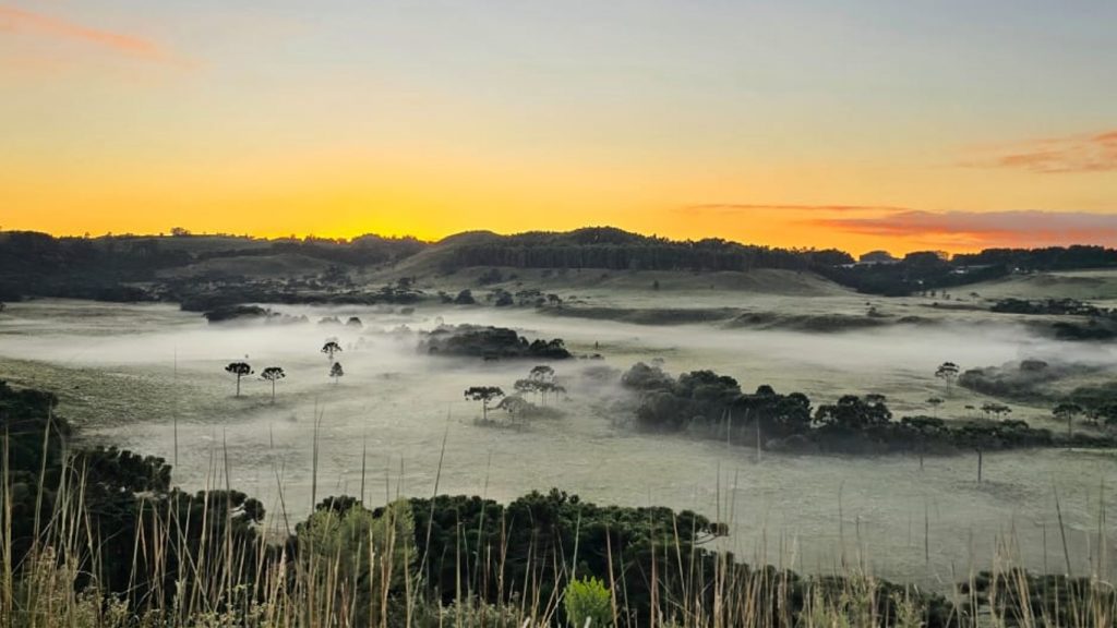 Três estados do Sul voltam a ter frio abaixo de zero com até -5ºC