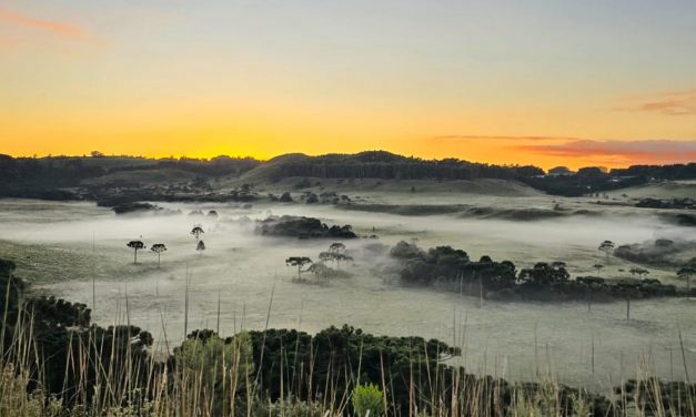 Três estados do Sul voltam a ter frio abaixo de zero com até -5ºC