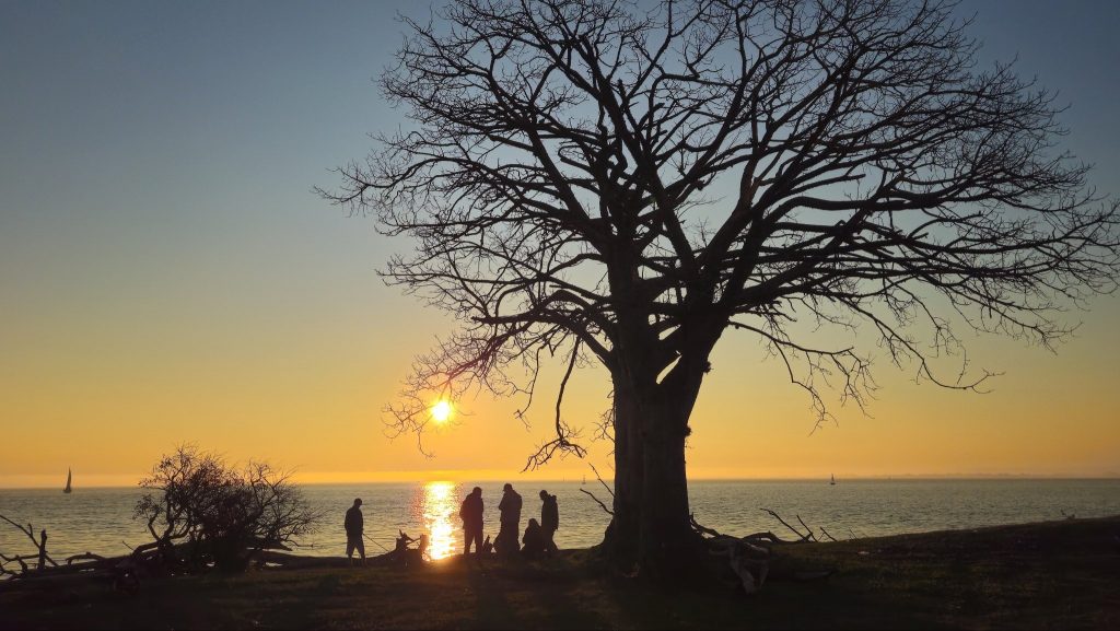 Semana vai começar com extremos de 0ºC a quase 30ºC