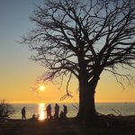 Semana vai começar com extremos de 0ºC a quase 30ºC