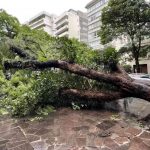 Como fica o tempo na semana que começa com ciclone e muito vento