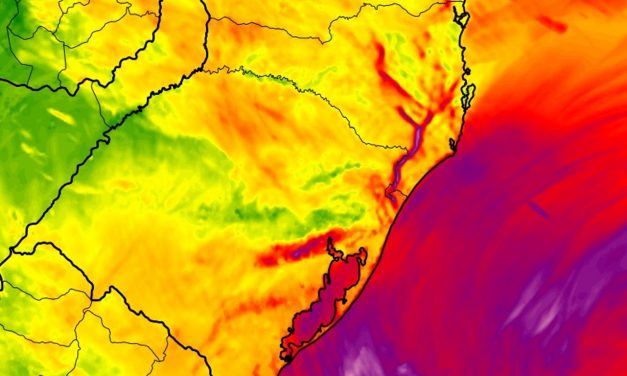 Veja quais cidades estão na rota do vento mais forte do ciclone