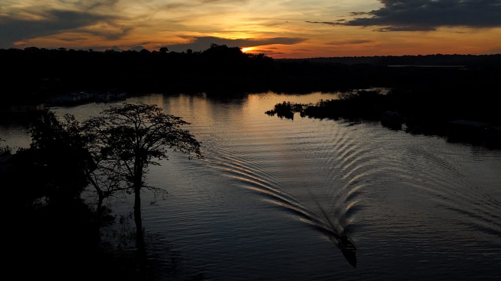 Queimadas despencam na Amazônia um ano após julho de fogo