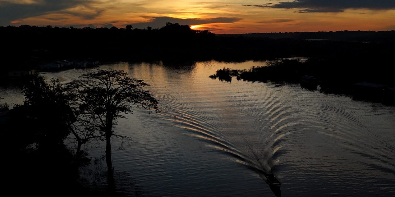 <span class="entry-title-primary">Queimadas despencam na Amazônia um ano após julho de fogo</span> <h2 class="entry-subtitle">Número de queimadas na Amazônia em julho deste ano foi radicalmente menor que o observado no ano passado </h2>