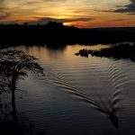 Queimadas despencam na Amazônia um ano após julho de fogo