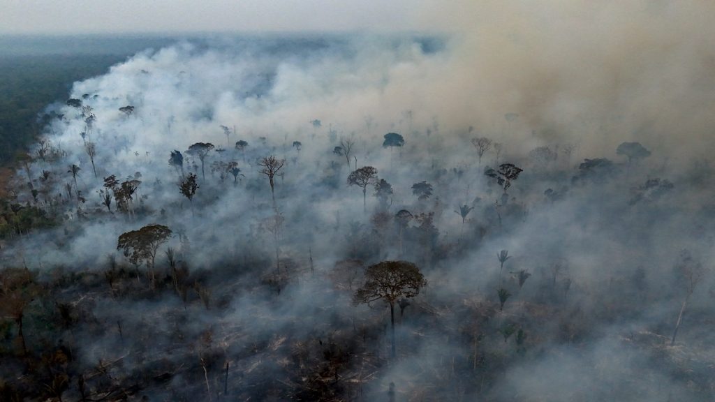 Pesquisadores afastam colapso da Amazônia, mas fazem grave alerta
