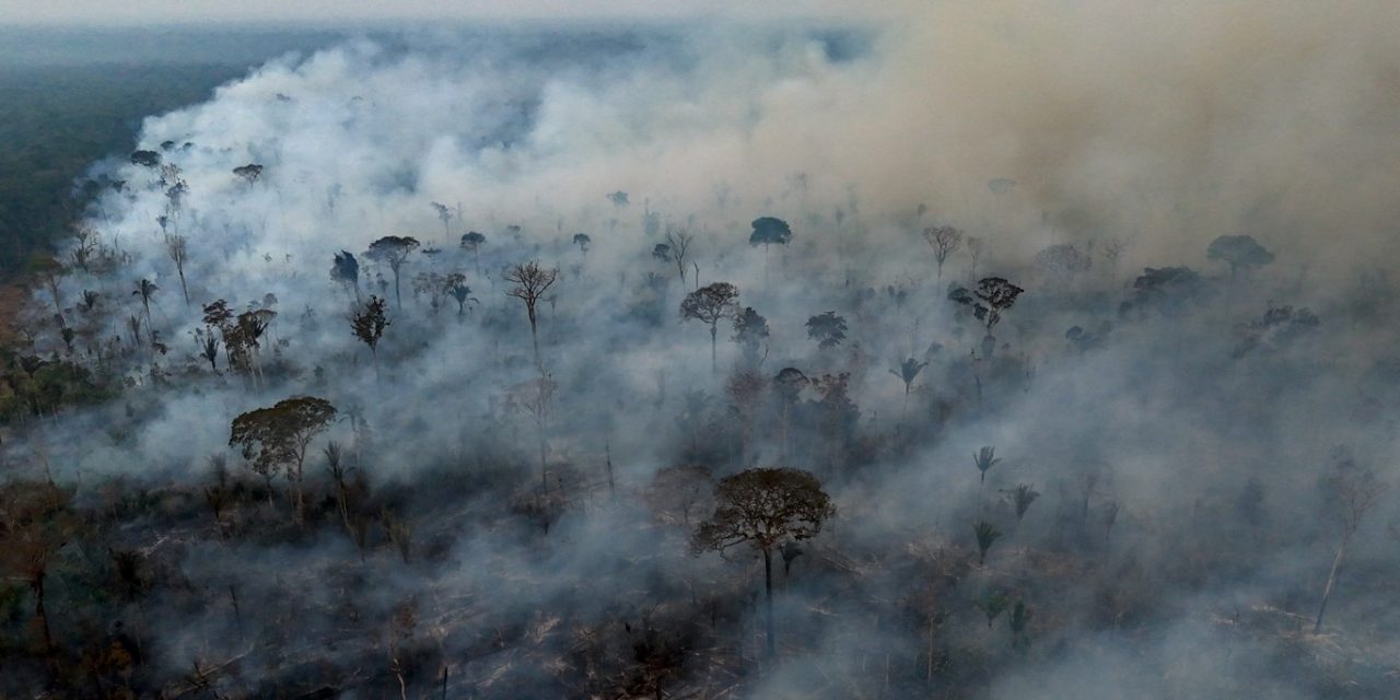 <span class="entry-title-primary">Pesquisadores afastam colapso da Amazônia, mas fazem grave alerta</span> <h2 class="entry-subtitle">Pesquisa da Universidade de Yale mostra que não há um colapso único em toda a floresta, mas alerta que desmatamento e queimadas estão fragilizando a Amazônia com sucessivos ‘golpes de martelo’</h2>
