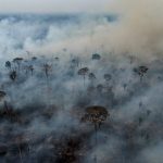 Pesquisadores afastam colapso da Amazônia, mas fazem grave alerta