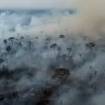 Pesquisadores afastam colapso da Amazônia, mas fazem grave alerta
