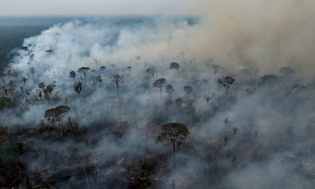 Pesquisadores afastam colapso da Amazônia, mas fazem grave alerta