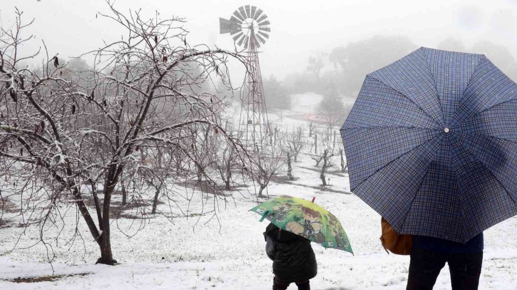 Áreas do Leste da Austrália registram maior neve em 40 anos