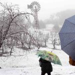 Áreas do Leste da Austrália registram maior neve em 40 anos