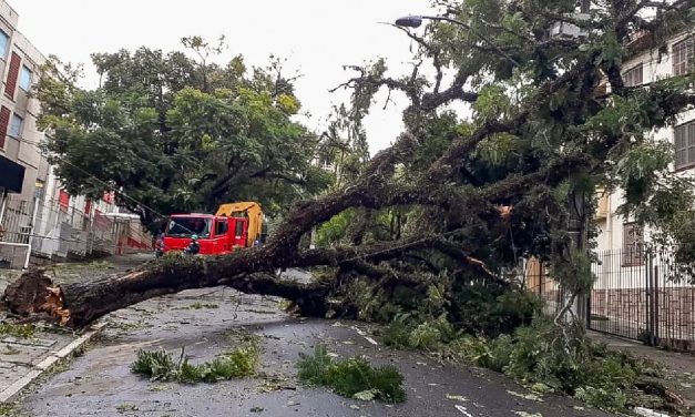 Quais cidades e regiões têm maior risco de temporais e vento no ciclone