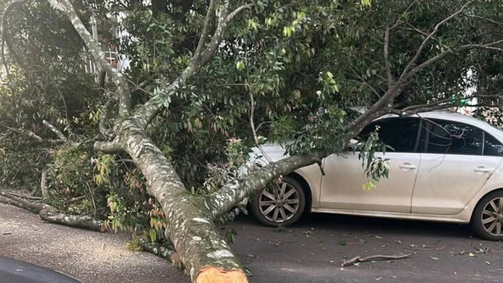 Ciclone provoca danos e falta de luz no Rio Grande do Sul