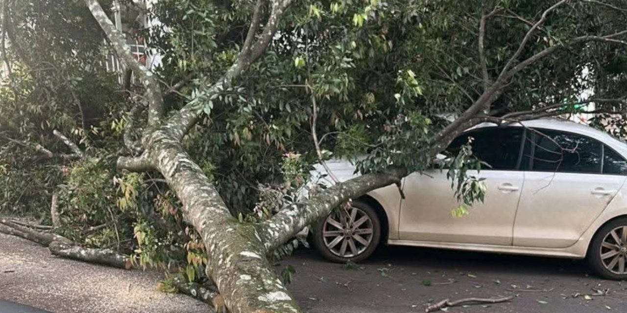 <span class="entry-title-primary">Ciclone provoca danos e falta de luz no Rio Grande do Sul</span> <h2 class="entry-subtitle">Vento forte a muito forte associado ao ciclone provoca transtornos como falta de luz e danos em alguns municípios </h2>