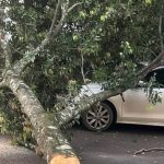 Ciclone provoca danos e falta de luz no Rio Grande do Sul