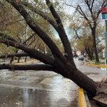Ciclone começa a se formar na Argentina com chuva forte, vento e granizo
