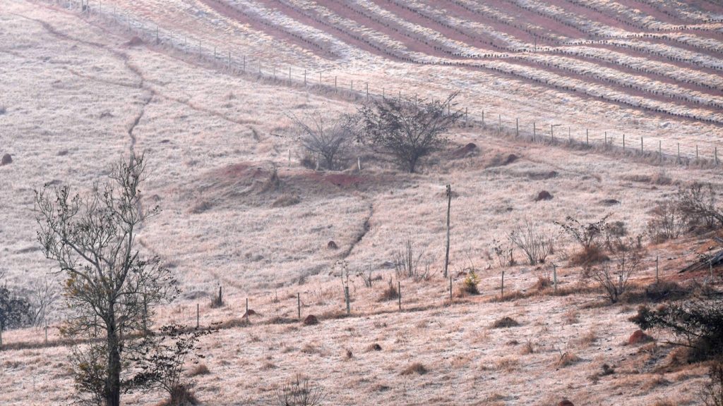 Minas Gerais tem frio extremo no Sul do estado com 7ºC abaixo de zero
