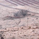 Minas Gerais tem frio extremo no Sul do estado com 7ºC abaixo de zero