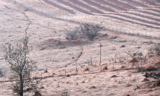 Minas Gerais tem frio extremo no Sul do estado com 7ºC abaixo de zero