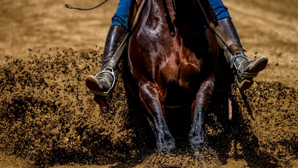 Tradicional chuva vai marcar presença na Expointer neste ano