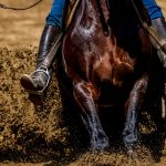 Tradicional chuva vai marcar presença na Expointer neste ano