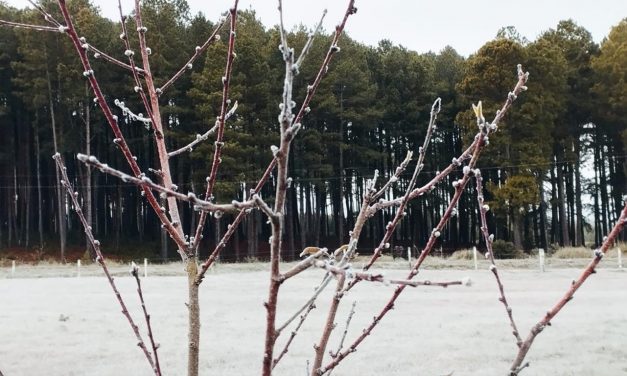 Frio segue abaixo de zero no Sul e no Sudeste do Brasil