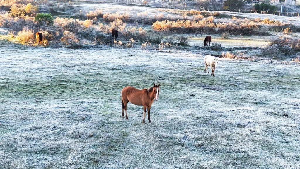 Semana começa com frio abaixo de zero