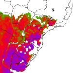 Frio aumenta e vários estados começam o domingo com geada