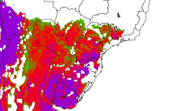 Frio aumenta e vários estados começam o domingo com geada