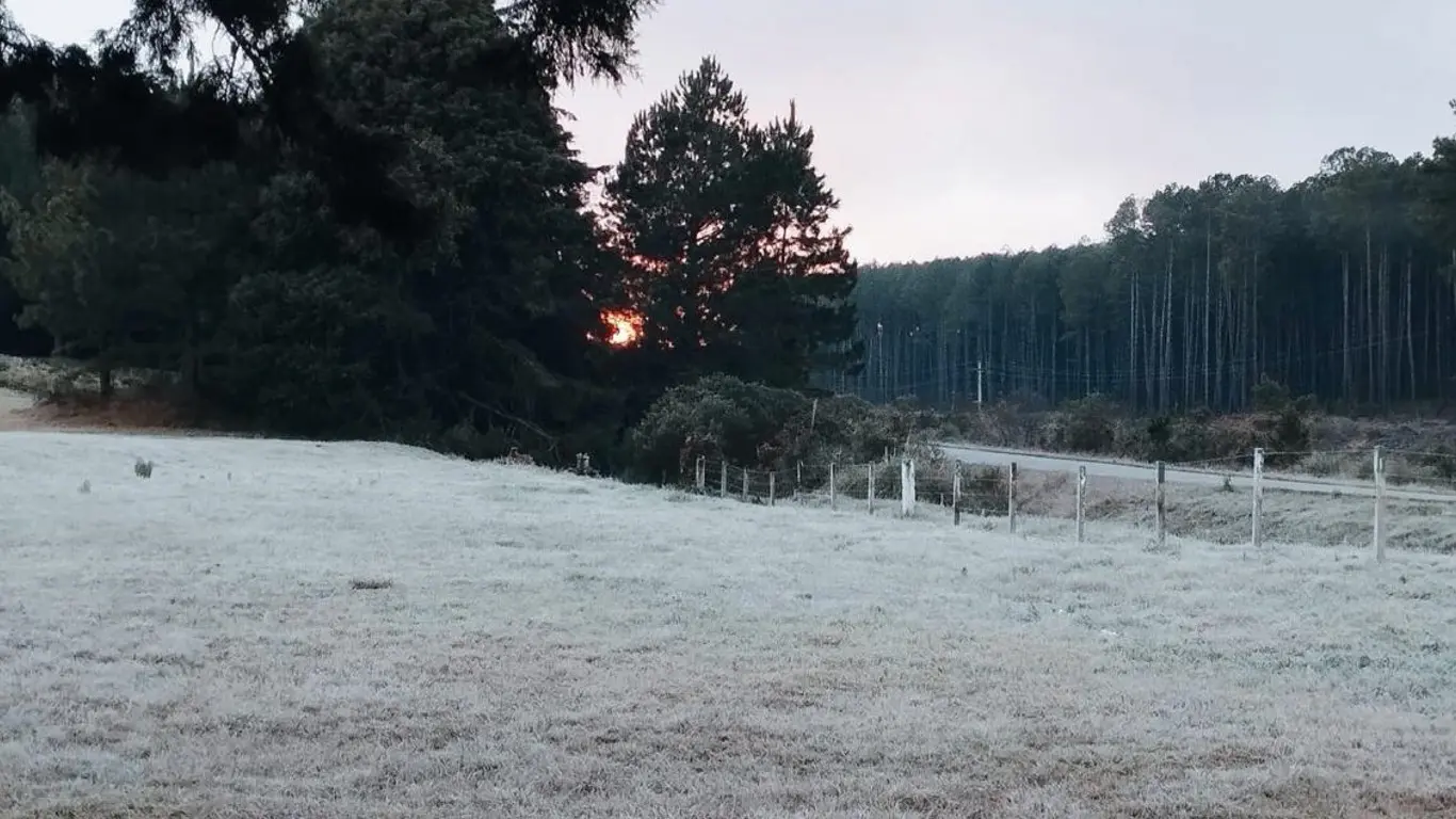 Foto mostra o frio  em São Francisco de Paula
