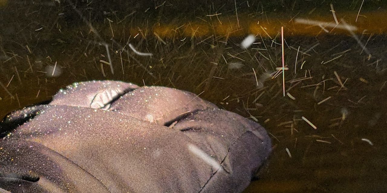<span class="entry-title-primary">Neve cai no Sul do Brasil no começo de um fim de semana gelado</span> <h2 class="entry-subtitle">Sábado começou com queda de neve no Planalto Sul Catarinense em fim de semana sob ar polar que será muito frio </h2>