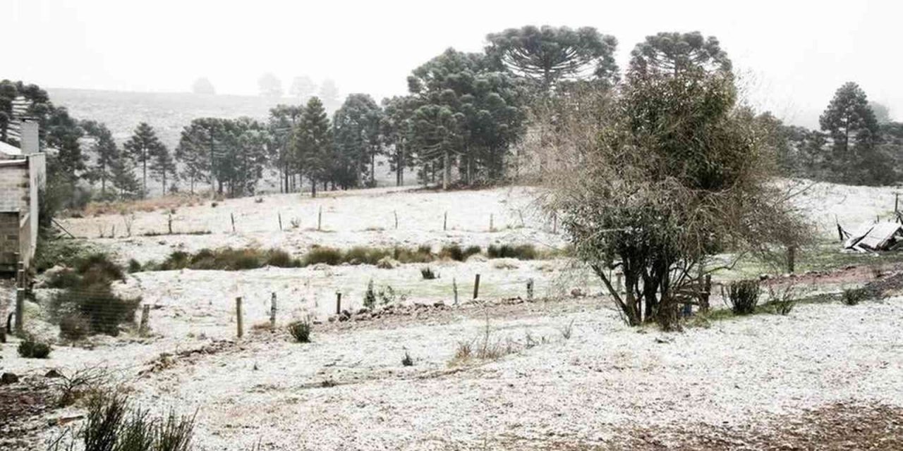 <span class="entry-title-primary">Neve transforma paisagem e encanta turistas no RS e SC; veja as imagens</span> <h2 class="entry-subtitle">Neve caiu em cidades do Rio Grande do Sul e Santa Catarina neste sábado e chegou a acumular em alguns pontos </h2>