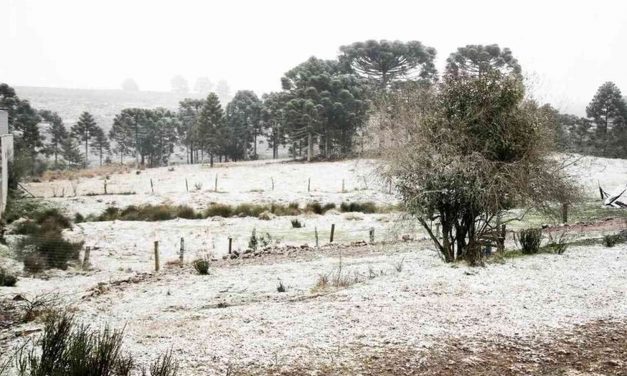 Neve transforma paisagem e encanta turistas no RS e SC; veja as imagens