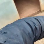 Estado tem chuva congelada no dia do aniversário da neve em Porto Alegre