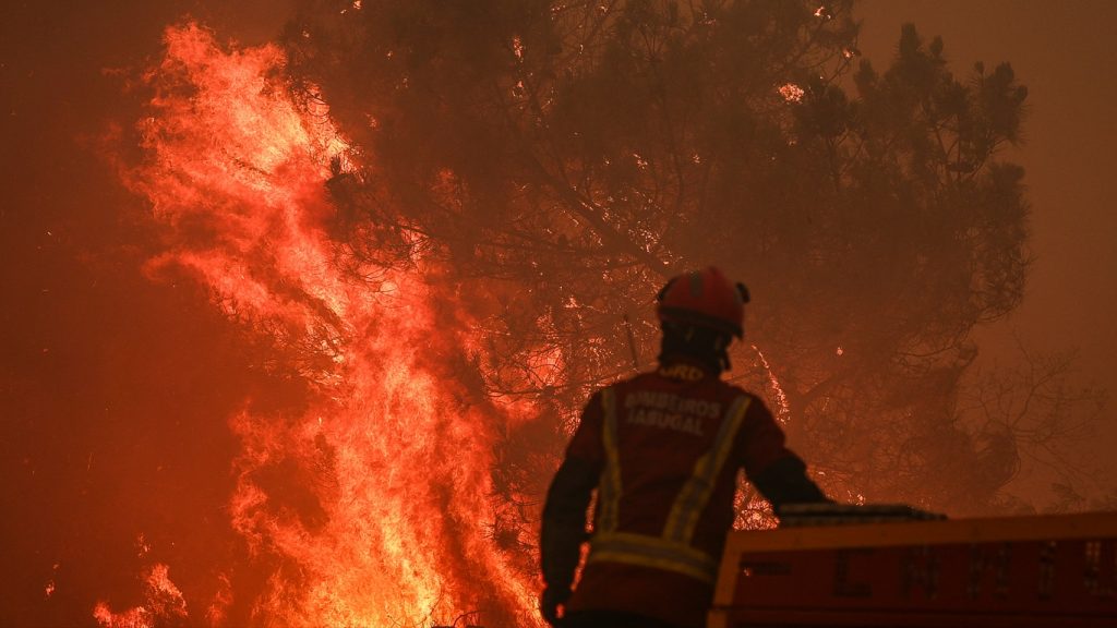 Portugal arde: governo descreve tragédia e mobiliza militares