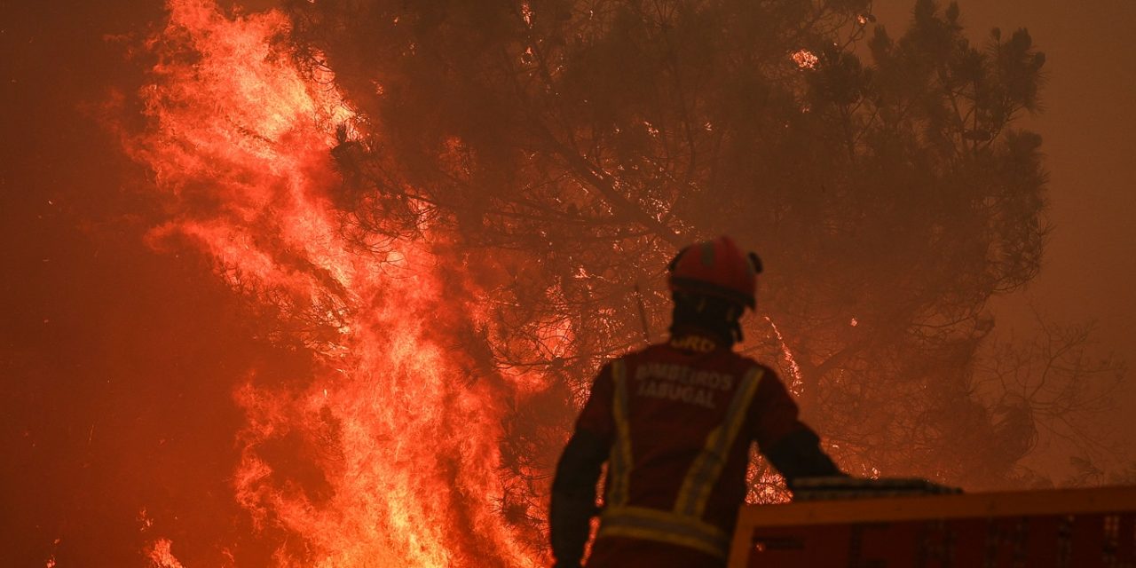 <span class="entry-title-primary">Portugal arde: governo descreve tragédia e mobiliza militares</span> <h2 class="entry-subtitle">Vários incêndios florestais ardem em Portugal com emergência em várias cidades e mobilização até de militares </h2>