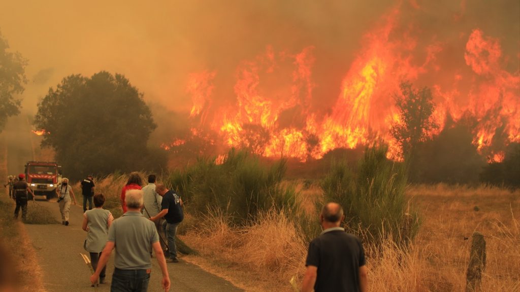 Mortal onda de incêndios em Portugal e na Espanha; veja imagens