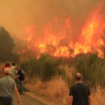 Mortal onda de incêndios em Portugal e na Espanha; veja imagens