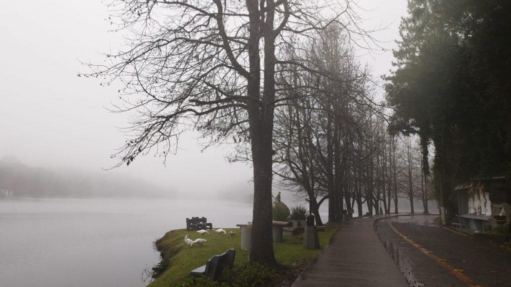 Neve nos Aparados e frio intenso com garoa na Serra Gaúcha