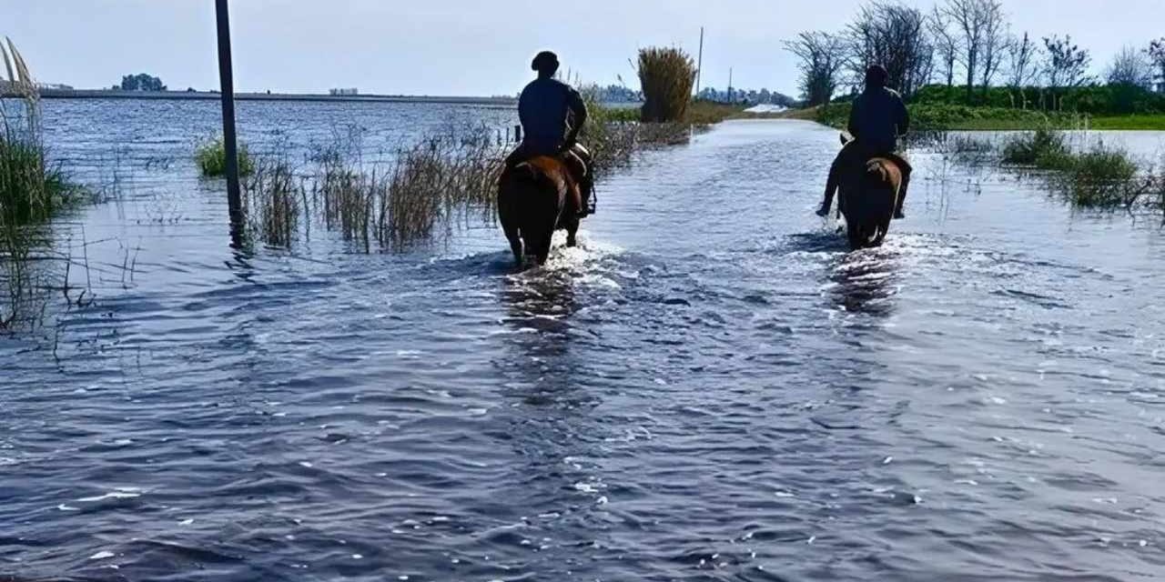 <span class="entry-title-primary">Enchentes alagam cidades e trazem prejuízo na agricultura da Argentina</span> <h2 class="entry-subtitle">Volumes de chuva até acima de 300 mm no fim de semana com uma ciclogênese inundaram lavouras e cidades na Argentina </h2>