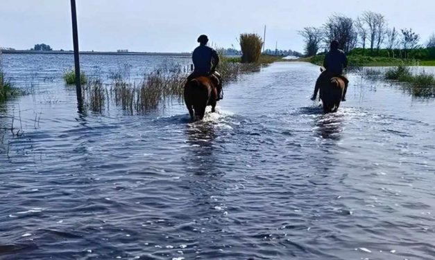 Enchentes alagam cidades e trazem prejuízo na agricultura da Argentina
